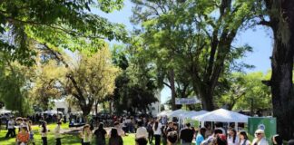 CAMINO AL PRÓXIMO CICLO LECTIVO Últimos días de inscripción para estudiar en la UNNE en 2026