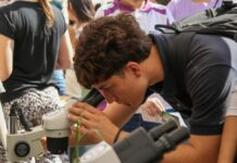 EXTENSIÓN UNIVERSITARIA Se realiza la segunda jornada de la Expo UNNE, en el Campus Sargento Cabral