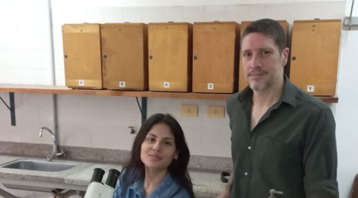 NUEVOS CONOCIMIENTOS Becaria busca reconstruir los antiguos paisajes de Corrientes a través de fósiles microscópicos