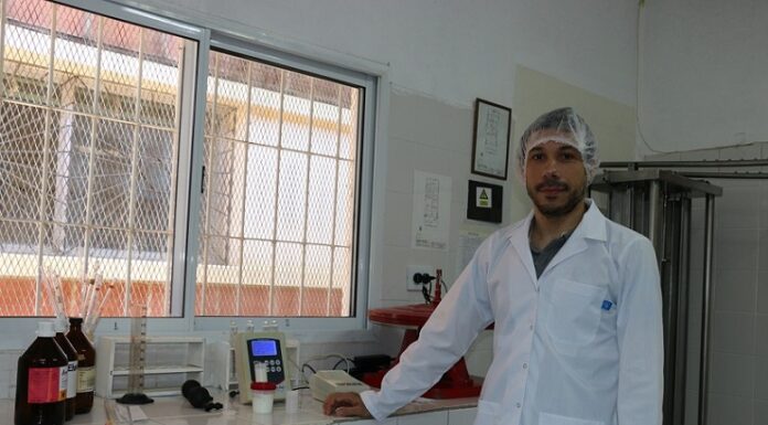 NUEVOS CONOCIMIENTOS Leche de Búfala: una investigación podría impulsar la industria y el comercio de lácteos