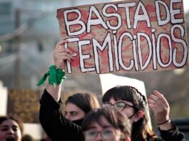 Femicidio como figura penal: “Que se elimine o no es una cuestión de política criminal que lo decide el Congreso”