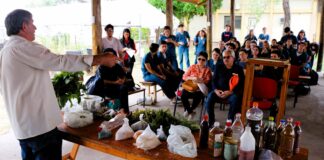 UNNE- INCUPO: exitosa jornada sobre Alimentación Saludable