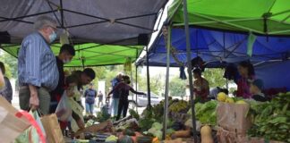 Extensión Universitaria Docentes y estudiantes de Ciencias Económicas trabajan en la inclusión financiera de puesteros y feriantes