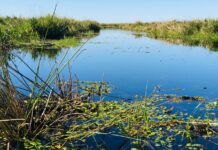 Curso de Introducción al audiovisual documental de la naturaleza en FaCENA