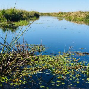 Curso de Introducción al audiovisual documental de la naturaleza en FaCENA
