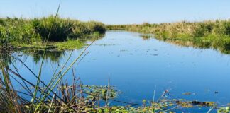 Curso de Introducción al audiovisual documental de la naturaleza en FaCENA