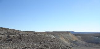 PARTICIPACIÓN DE LA UNNE Con nuevas técnicas, descifran “secretos químicos” de la preservación de artrópodos fósiles