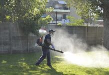 ENTREVISTA CON RADIO UNNE Detectaron poblaciones de aedes aegypti resistentes a los insecticidas en el norte argentino