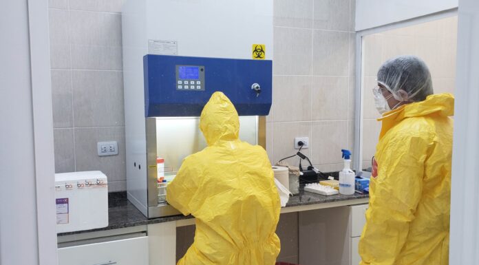 GESTIÓN La UNNE implementa un programa para fortalecer sus grupos de investigación