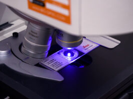 La UNNE creó un instituto para promover el desarrollo biotecnológico en la región