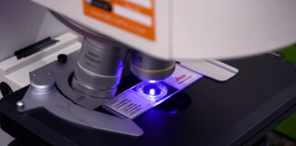 FORTALECER CAPACIDADES La UNNE creó un instituto para promover el desarrollo biotecnológico en la región