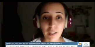 VOCES DEL NORDESTE EN DEFENSA DE LOS GLACIARES Desde el Chaco, una estudiante de la UNNE defendió la actual ley de glaciares: «Sabemos lo que pasa cuando el agua falta»