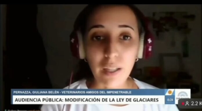 Desde el Chaco, una estudiante de la UNNE defendió la actual ley de glaciares: «Sabemos lo que pasa cuando el agua falta»