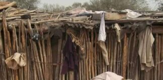 INVESTIGACIÓN UNNE Destacan abordaje integral para controlar la Hidatidosis en Corrientes y la región