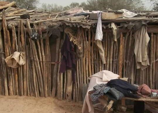 INVESTIGACIÓN UNNE Destacan abordaje integral para controlar la Hidatidosis en Corrientes y la región