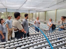 Promueven el desarrollo del cultivo hidropónico en la región