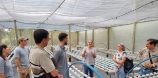 POSGRADO EN AGRARIAS DE LA UNNE Promueven el desarrollo del cultivo hidropónico en la región