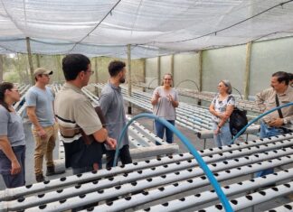POSGRADO EN AGRARIAS DE LA UNNE Promueven el desarrollo del cultivo hidropónico en la región