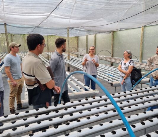 Promueven el desarrollo del cultivo hidropónico en la región