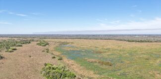 CONSERVACIÓN DE LA BIODIVERSIDAD Con aporte de la UNNE, presentaron el Sistema Municipal de Áreas Protegidas de Santa Ana de los Guácaras