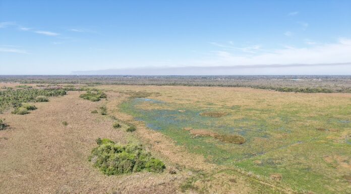 CONSERVACIÓN DE LA BIODIVERSIDAD Con aporte de la UNNE, presentaron el Sistema Municipal de Áreas Protegidas de Santa Ana de los Guácaras