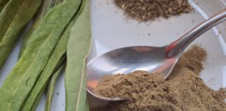 TRABAJO CIENTIFICO Premian propuesta de la UNNE de un nuevo alimento a base de follaje de mandioca