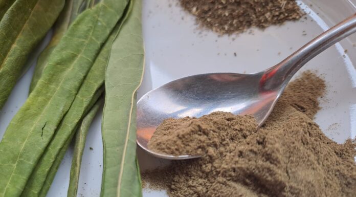 TRABAJO CIENTIFICO Premian propuesta de la UNNE de un nuevo alimento a base de follaje de mandioca