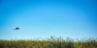 LA UNNE ES LA ÚNICA UNIVERSIDAD NACIONAL DEL PAÍS SELECCIONADA Un proyecto de FaCENA sobre Educación para el Desarrollo Sostenible fue premiado por la UNESCO