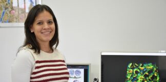 PUBLICACIÓN EN REVISTA INTERNACIONAL «Carbón del maní»: identifican el recorrido que hace dentro de la planta el principal hongo que afecta el cultivo en Argentina