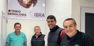 DESARROLLO Y TRANSFERENCIA Con primeros ensayos en el IBRA, la UNNE traza nuevos horizontes en biotecnología de reproducción animal