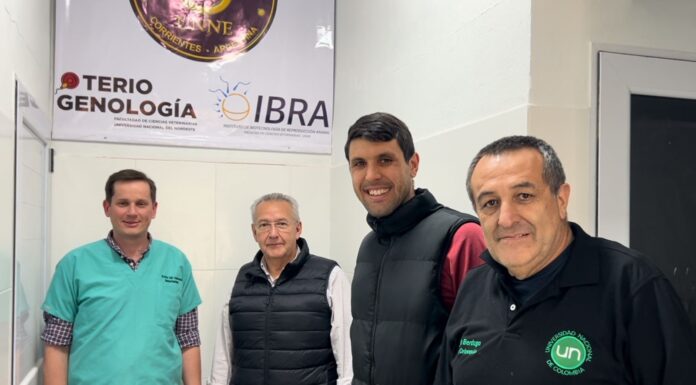 DESARROLLO Y TRANSFERENCIA Con primeros ensayos en el IBRA, la UNNE traza nuevos horizontes en biotecnología de reproducción animal