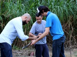 La UNNE accede a 123 becas de estímulos a las vocaciones científicas