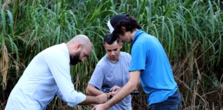 La UNNE accede a 123 becas de estímulos a las vocaciones científicas