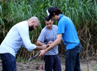 La UNNE accede a 123 becas de estímulos a las vocaciones científicas