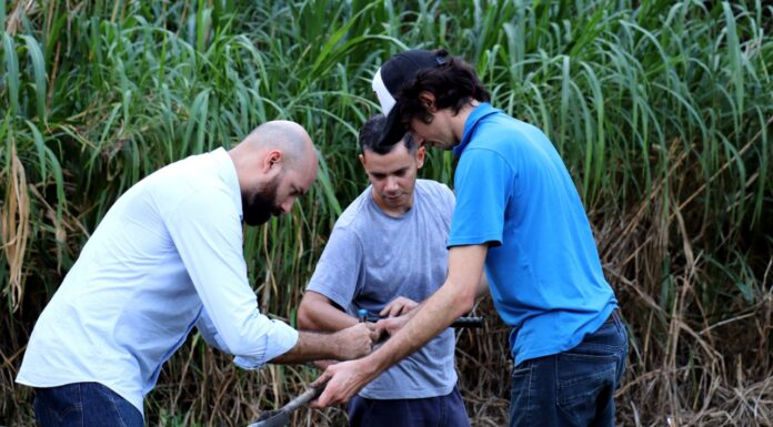 La UNNE accede a 123 becas de estímulos a las vocaciones científicas