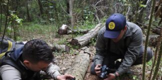 CON APORTES DESDE LA UNNE Avanza el registro de anfibios y reptiles del Parque Nacional «Laguna El Palmar»