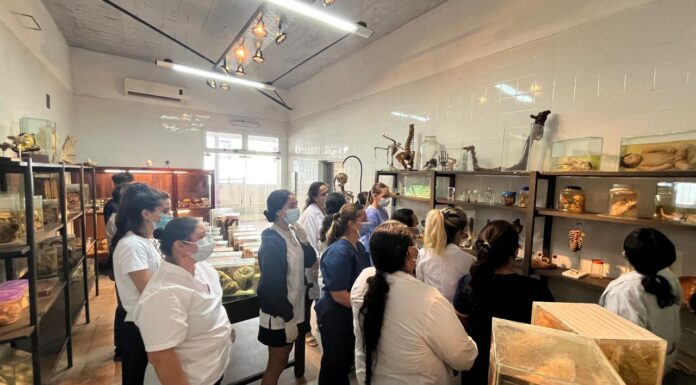 Con apoyo de la UNNE, se realizará en Corrientes el LX Congreso Argentino de Anatomía y el XXX Congreso de Morfología