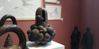 6ta EDICIÓN “Nube” fue la obra ganadora del Premio UNNE Adquisición en ArteCo