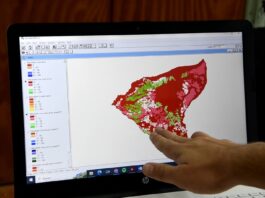 Evaluaron aptitudes de suelos con Chat GPT, en trabajo final de Ciencias Agrarias de la UNNE