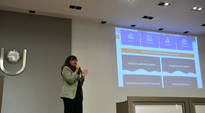 INVESTIGACIÓN Y DESARROLLO En la jornada UNNE Investiga, presentaron la nueva web que refleja las líneas de I+D de la universidad
