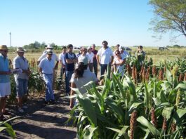 Intervención al INTA: “Vamos a dejar de hacer lo que necesitan el país y los pequeños productores”