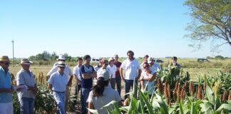 IMPACTO ECONÓMICO Intervención al INTA: “Vamos a dejar de hacer lo que necesitan el país y los pequeños productores”