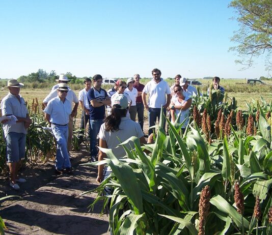 Intervención al INTA: “Vamos a dejar de hacer lo que necesitan el país y los pequeños productores”