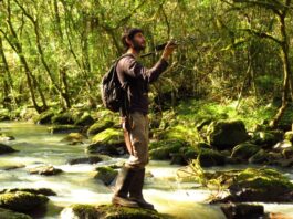 Investigador de la UNNE premiado por “Aves Argentinas” para estudiar al carpintero blanco en el NEA