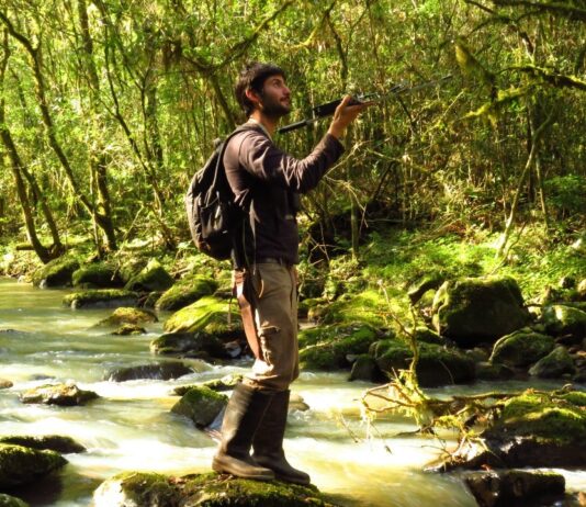 Investigador de la UNNE premiado por “Aves Argentinas” para estudiar al carpintero blanco en el NEA
