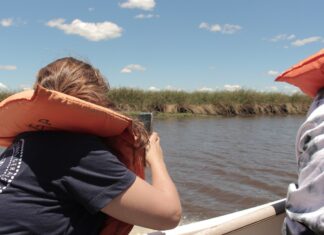 “Cátedra Libre Iberá”, una propuesta de la UNNE para fortalecer la participación en el desarrollo sustentable