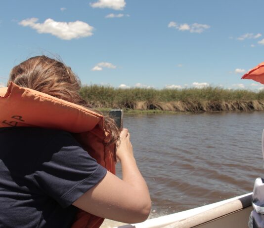 “Cátedra Libre Iberá”, una propuesta de la UNNE para fortalecer la participación en el desarrollo sustentable