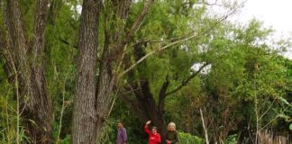 EUDENE Presentan libro en el que se revelan datos sobre la dinámica laboral y poblacional en el Iberá
