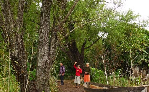 EUDENE Presentan libro en el que se revelan datos sobre la dinámica laboral y poblacional en el Iberá