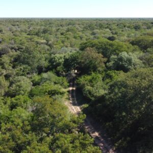 Realizarán jornada conmemorativa del Día Internacional de los Bosques y del Día Mundial del Clima